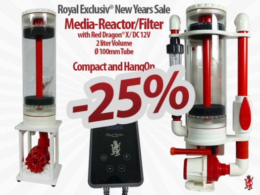 Royal Exclusiv home of Dreambox filter and Bubble King and Red Dragon NEW YEAR SALE