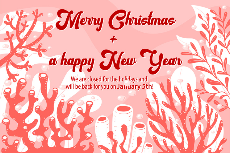 Royal Exclusiv wish a Merry Christmas 2025 and a happy New Year 2026